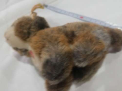 Steiff Cat- As per pictures. Has number . Collectable