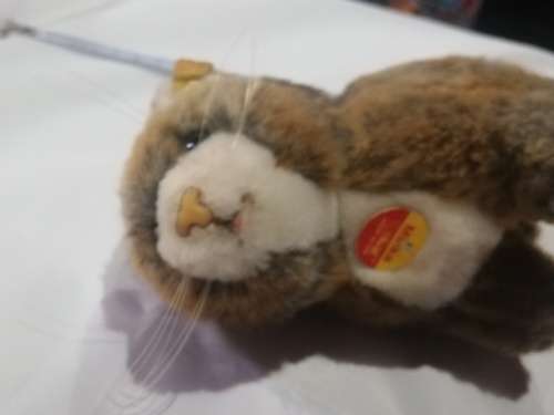 Steiff Cat- As per pictures. Has number . Collectable