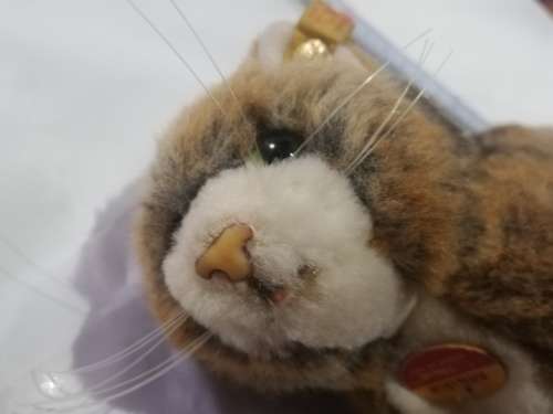 Steiff Cat- As per pictures. Has number . Collectable