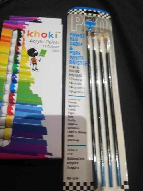 Acrylic paint and brush set