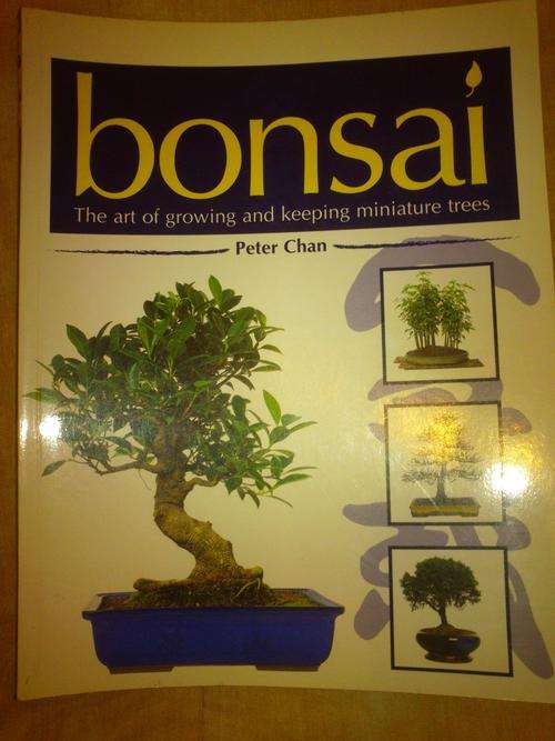 Bonsai: The Art of Growing and Keeping Miniature Trees - Peter Chan