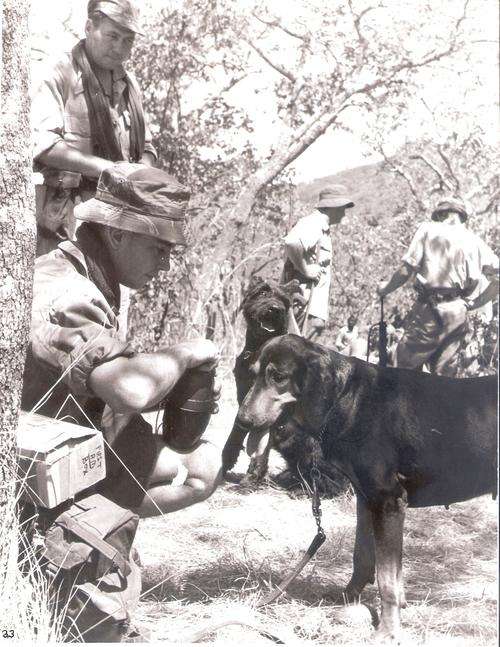 ORIGINAL B+W PHOTO OF RHODESIAN FORCES, WITH TRACKING DOGS