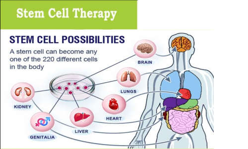 Superlife Total Care 30 - STC30