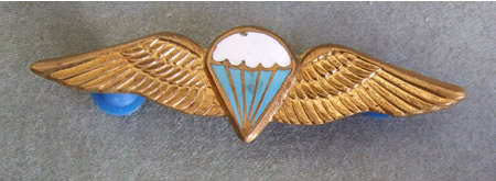 SA Parachute Basic Paratrooper Wings