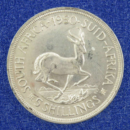 South African 5 Shillings 1950 AUNC