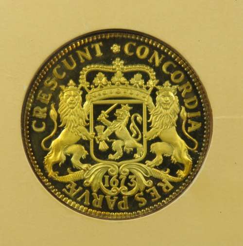 Cape Coin Heritage Medallion Silver Gold Plated