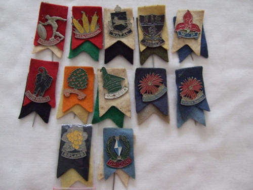 Set of Vintage Rugby Currie Cup Pin Badges