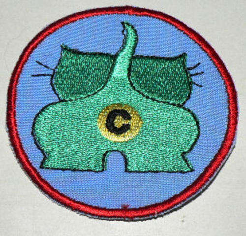 SAAF Aircrew Cloth Badge / patch Central Flying School Instructor