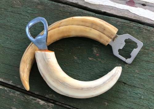 2 WARTHOG BOTTLE OPENERS