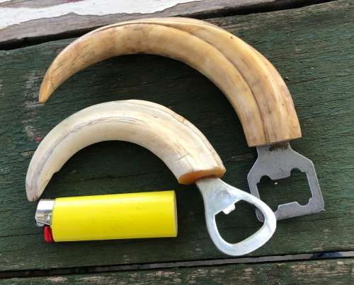 2 WARTHOG BOTTLE OPENERS