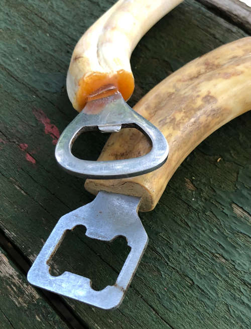 2 WARTHOG BOTTLE OPENERS