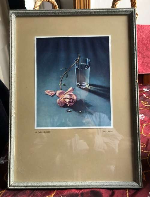 TRETCHIKOFF WEEPING ROSE vintage print