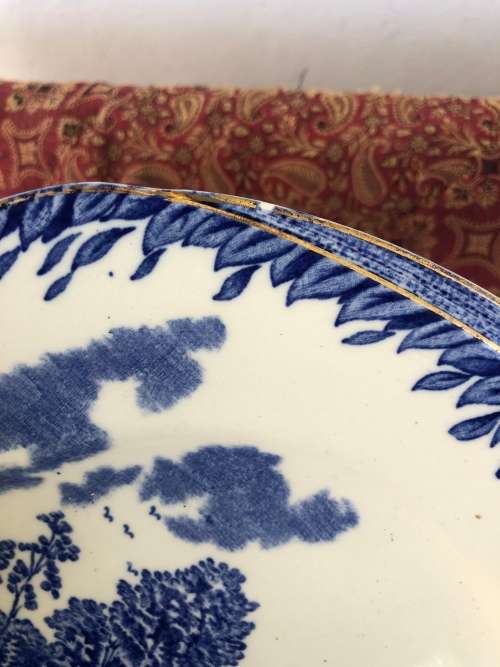 BLUE & WHITE DINNER PLATES Britain Beautiful Burleigh Ware