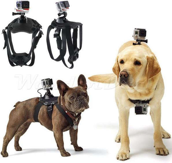 Pet Dog Harness Adjustable Chest Strap Belt Mount Accessories for GoPro and Sports Action Camera