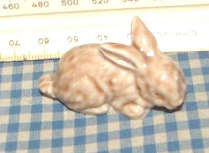 Small Rabit