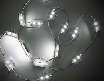 Waterproof LED Module(SMD5050/PVC) - 2-LEDS