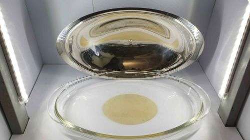 Vintage serving dish