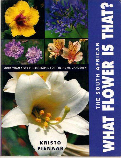 What flower is that (The South African) Kristo Pienaar