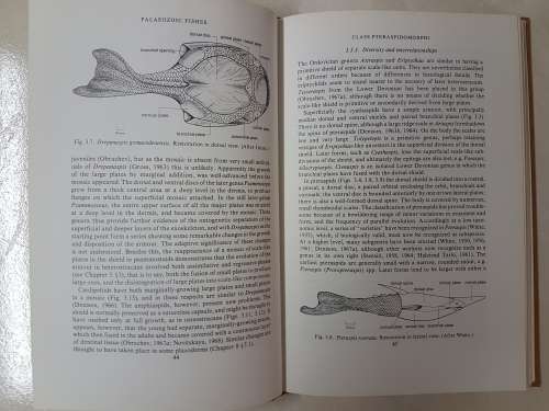 Palaeozoic Fishes - by J. A. Moy-Thomas Miles. "Dr J.W.A van Heerden's Museum Copy"