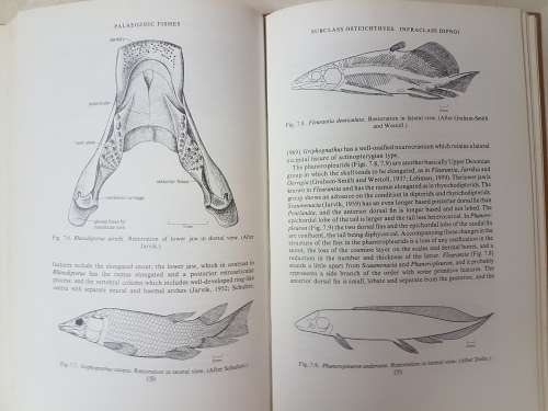 Palaeozoic Fishes - by J. A. Moy-Thomas Miles. "Dr J.W.A van Heerden's Museum Copy"