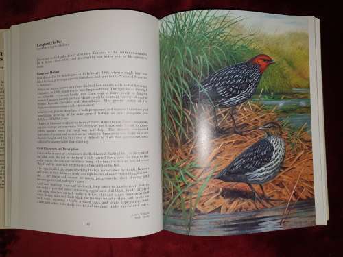 **Signed** THE RARE BIRDS OF SOUTHERN AFRICA - P. A. CLANCEY