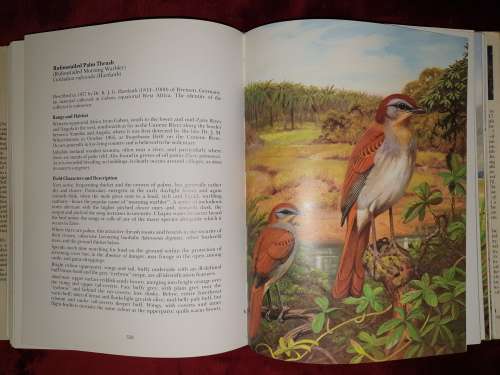 **Signed** THE RARE BIRDS OF SOUTHERN AFRICA - P. A. CLANCEY