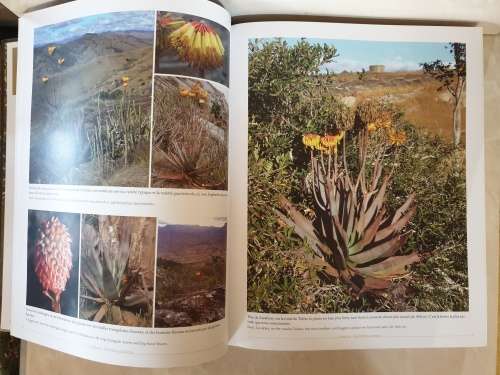 The Aloe of Madagascar / Les Aloe de Madagascar - Castillon (Jean-Bernard & Philippe)