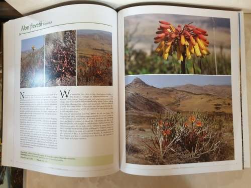 The Aloe of Madagascar / Les Aloe de Madagascar - Castillon (Jean-Bernard & Philippe)