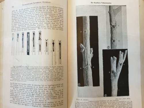 **1913** Unie van Zuid Afrika - Landbouw Joernaal Deel V.