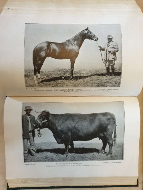 **1913** Unie van Zuid Afrika - Landbouw Joernaal Deel V.