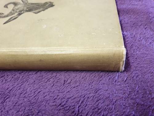 *1896* REIZEN MET CECIL RHODES, DOOR DE WILDE WERELD VAN ZUID AFRIKA