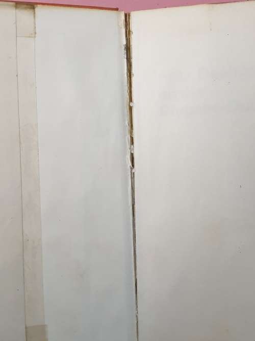 FRITZ DEELMAN EN DIE DIEPSEE DUIKBOL - Leon Rousseau. 1972