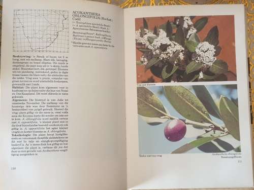 Gifplante van Suider Afrika - J. Vahrmeijer