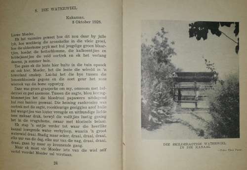 (Skaars) Land van die Kokerboom - Fides Loubser