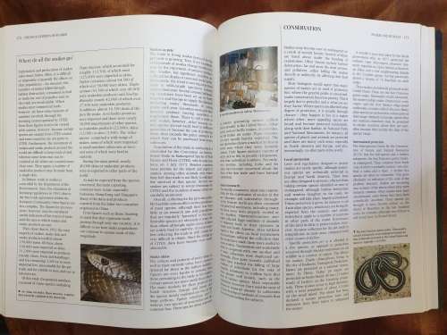 The Encyclopaedia of Snakes - Chris Mattison