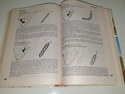 Trees of Southern Africa - Keith Coates Palgrave