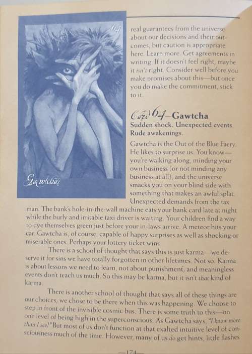 The Faeries Oracle - Working with the Faeries to find insight, wisdom & joy.