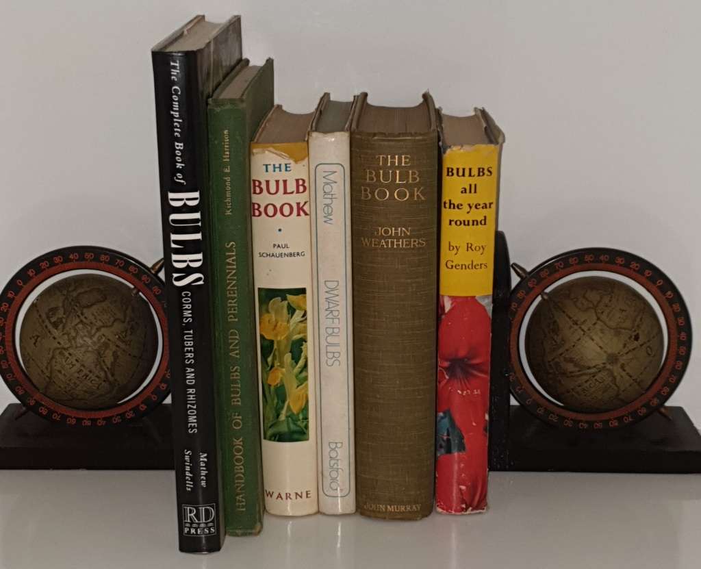 (6) Books about BULBS.