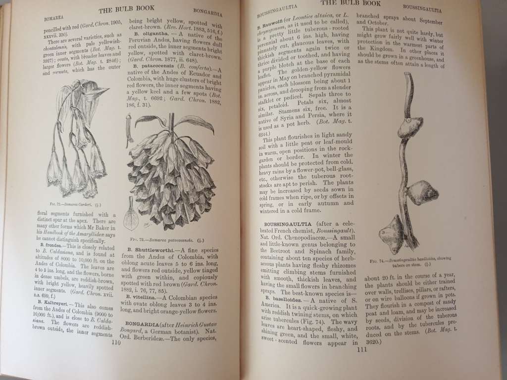 (6) Books about BULBS.