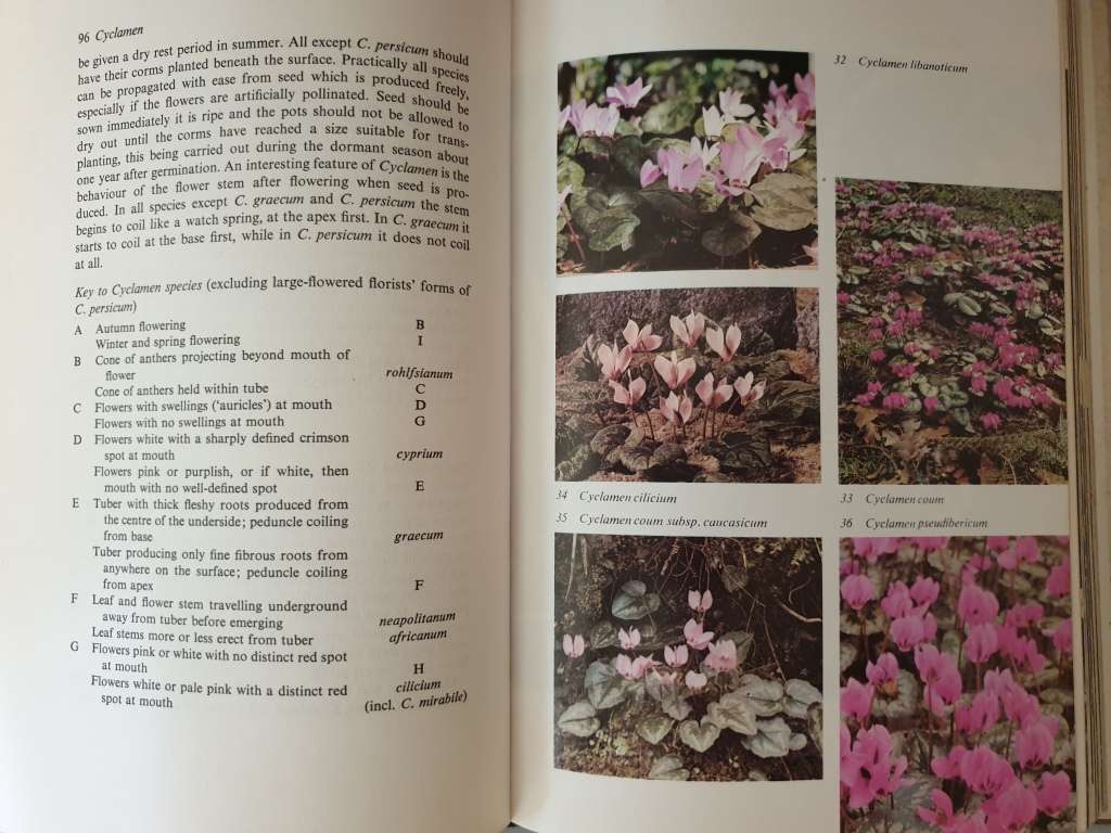 (6) Books about BULBS.