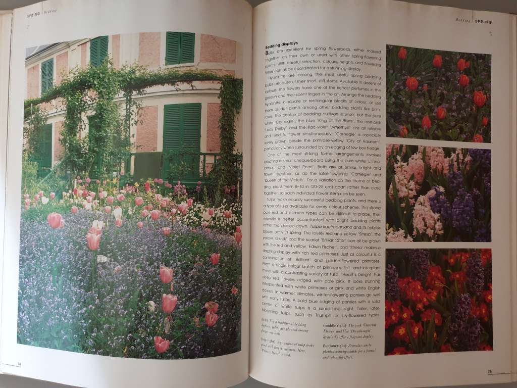 (6) Books about BULBS.