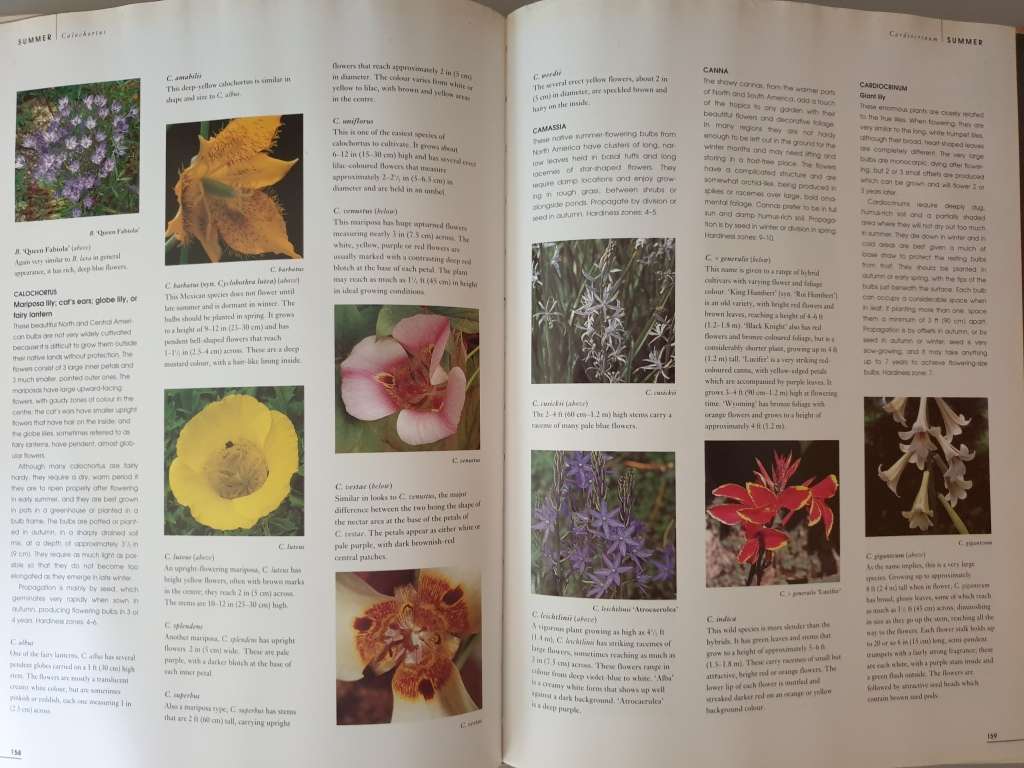 (6) Books about BULBS.