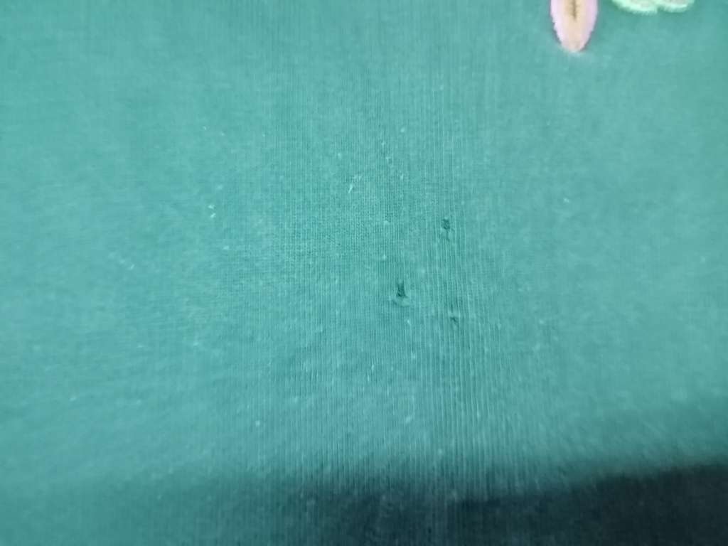 Springbok Rugby Supporters Jersey. XL