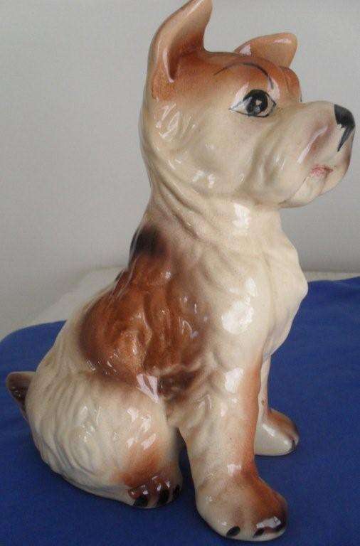 Sweet Ornamental Dog Looking For A Good Home ! NO RESERVE !!