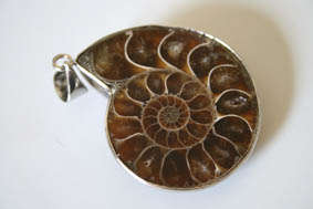 AMMONITE FOSSIL PENDANT