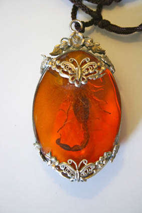 Amber Chinese Scorpion Pendant (1 of 2)