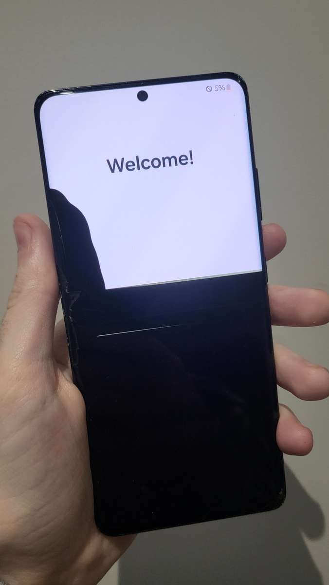 S21 Ultra (cracked screen)